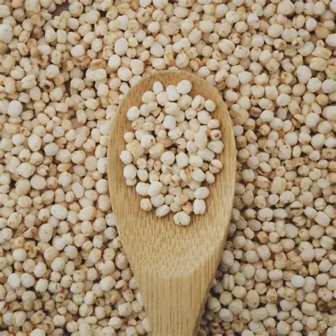 QUINOA POP