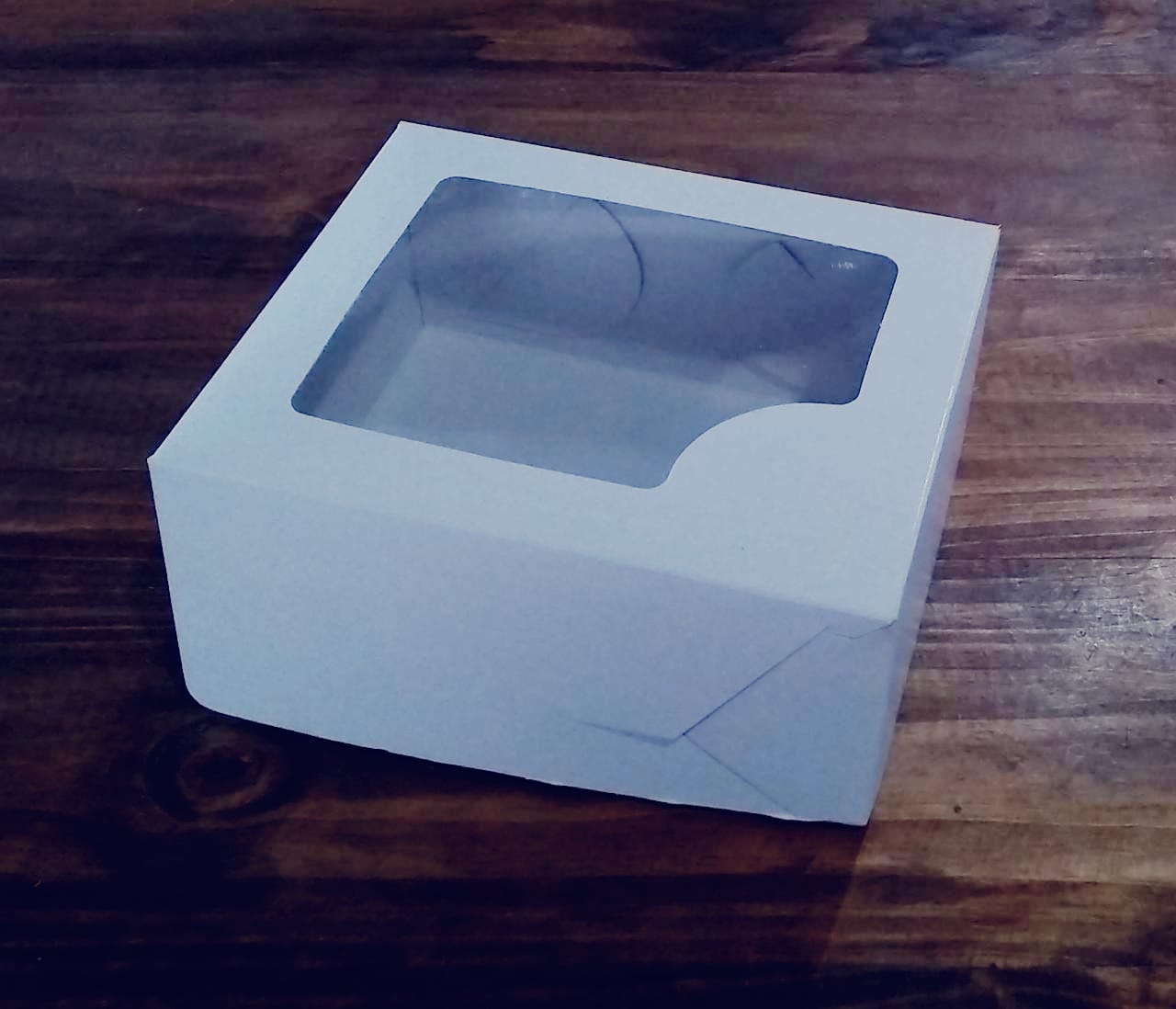 CAJA VISOR 17*17*10