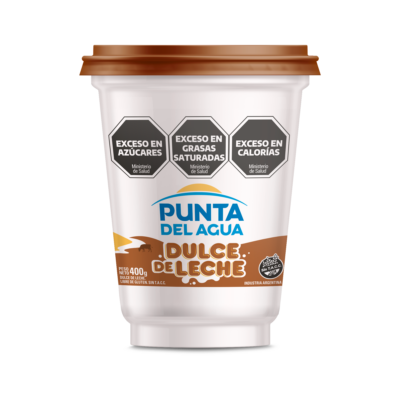 Dulce de leche punta del agua 400 gr